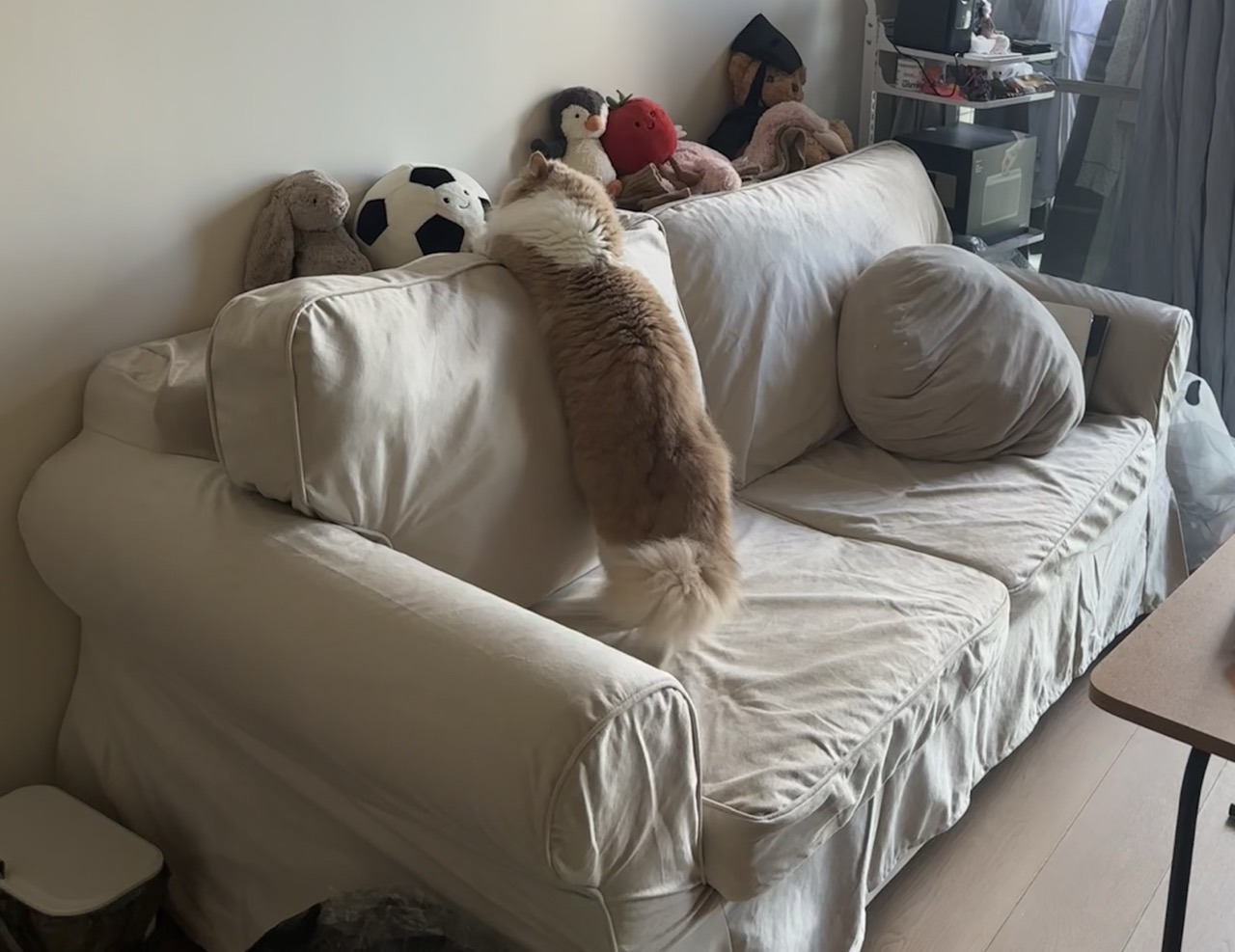 沙发床