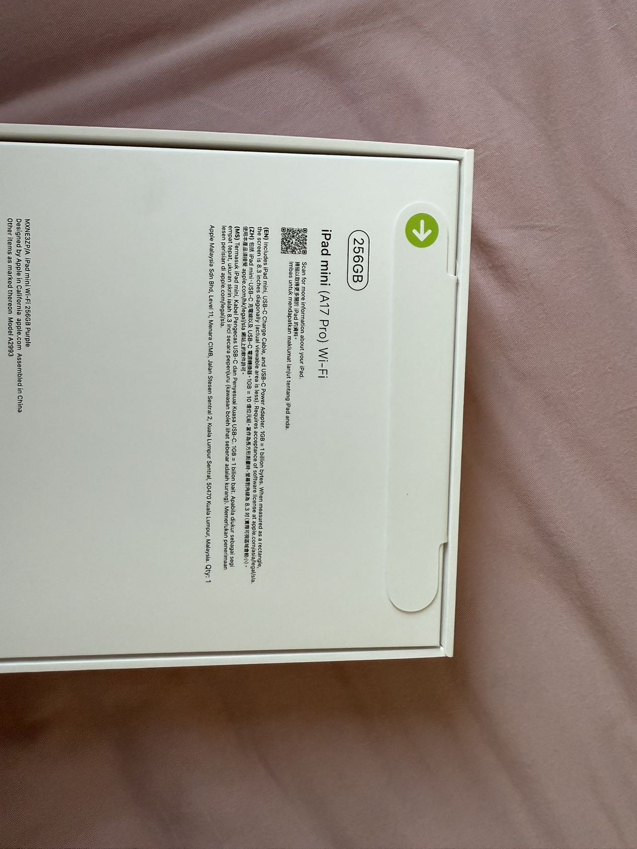 iPad mini（A17pro）