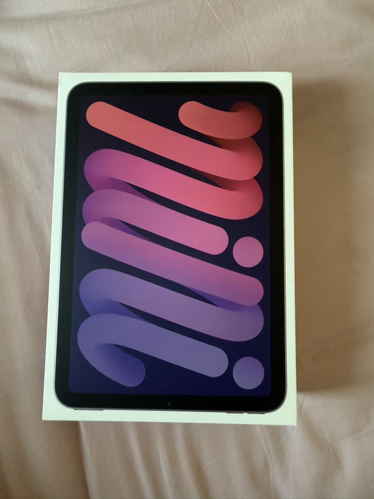 iPad mini（A17pro）