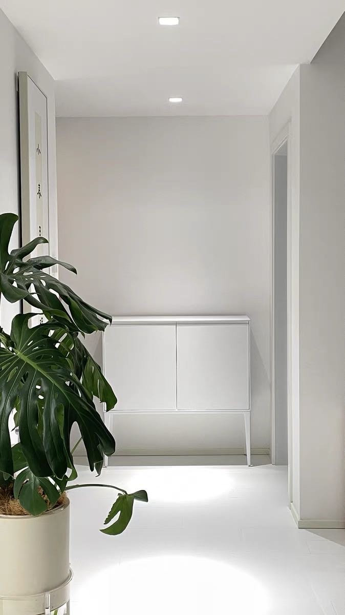 置于柜，储物柜，玄关柜