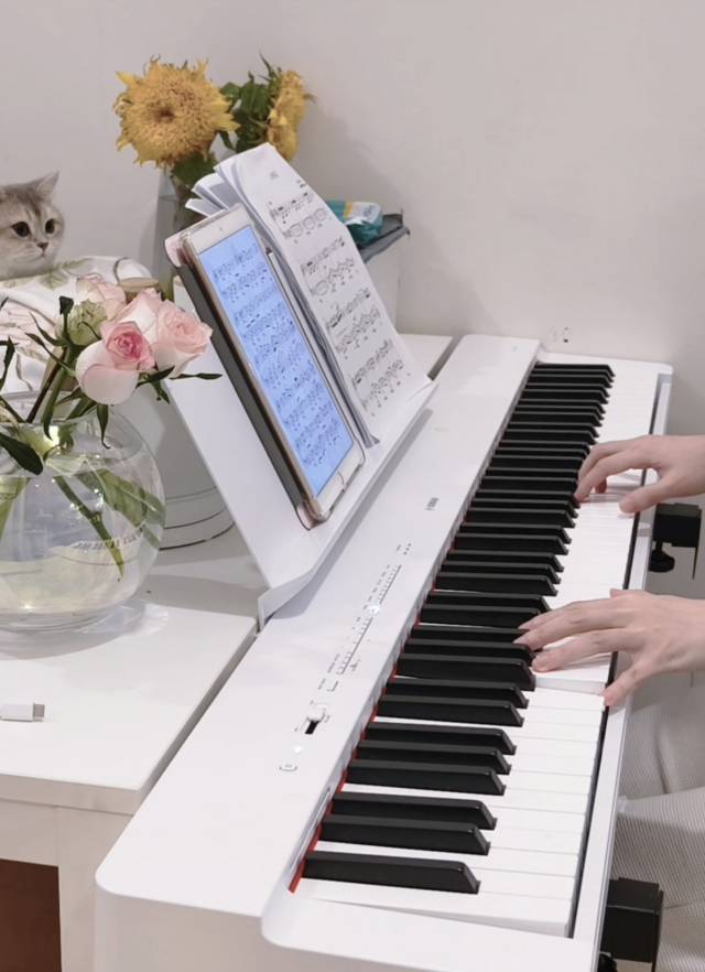 雅马哈电子琴p225wh