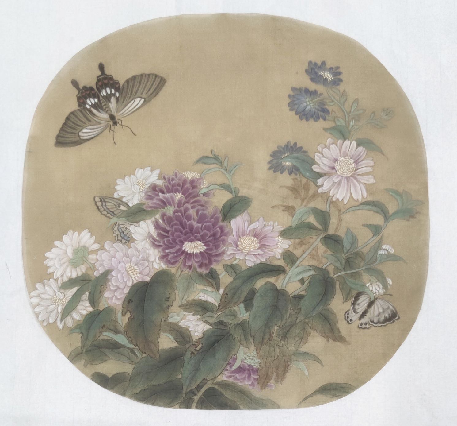 寻找艺术展主持人