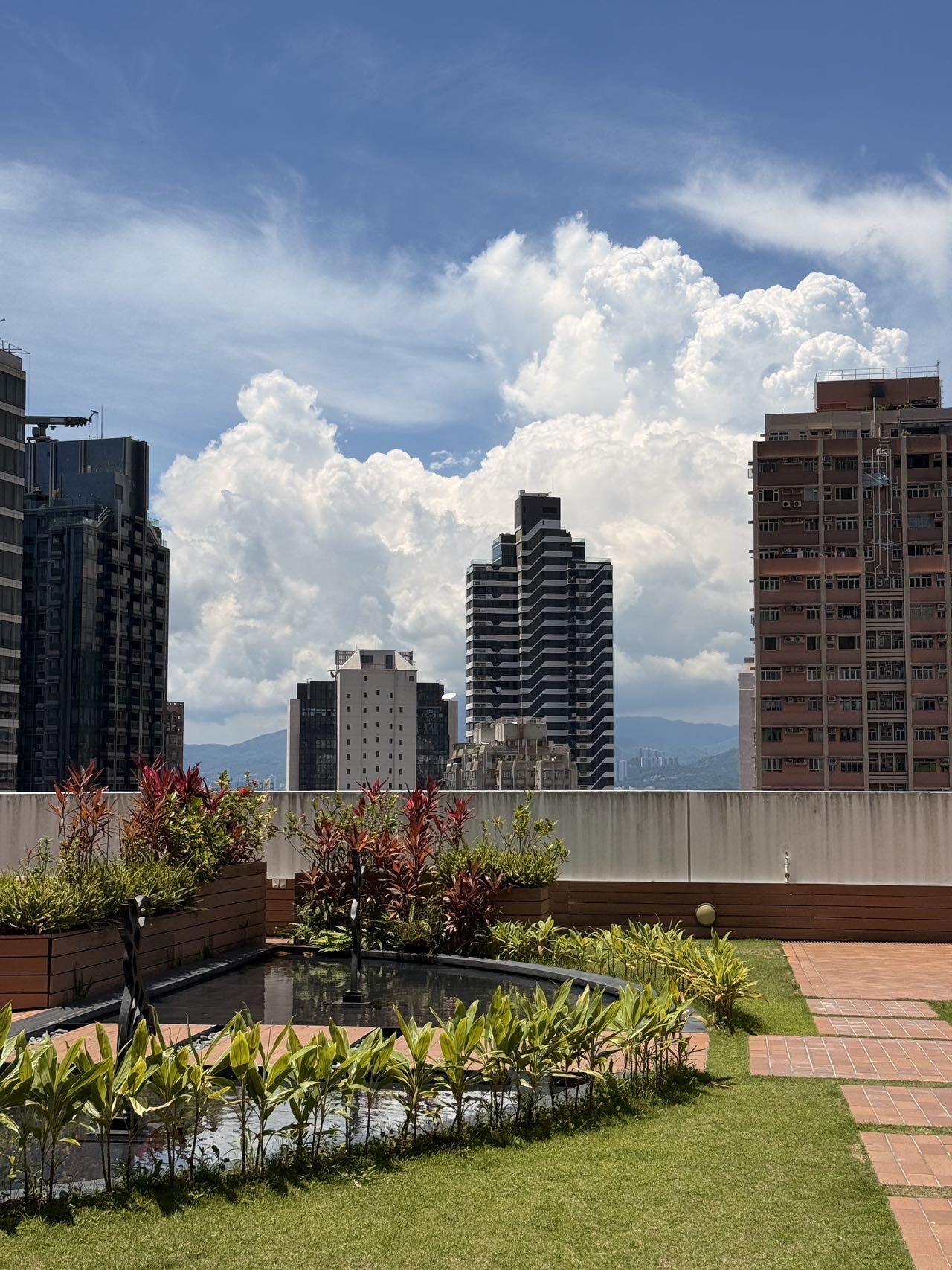 港大商学院硕士服M