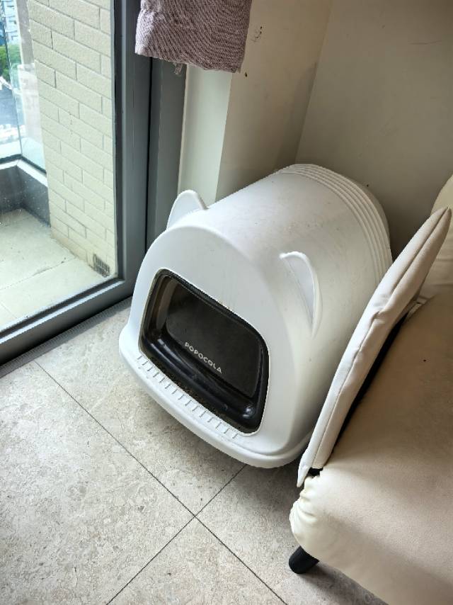 猫厕所