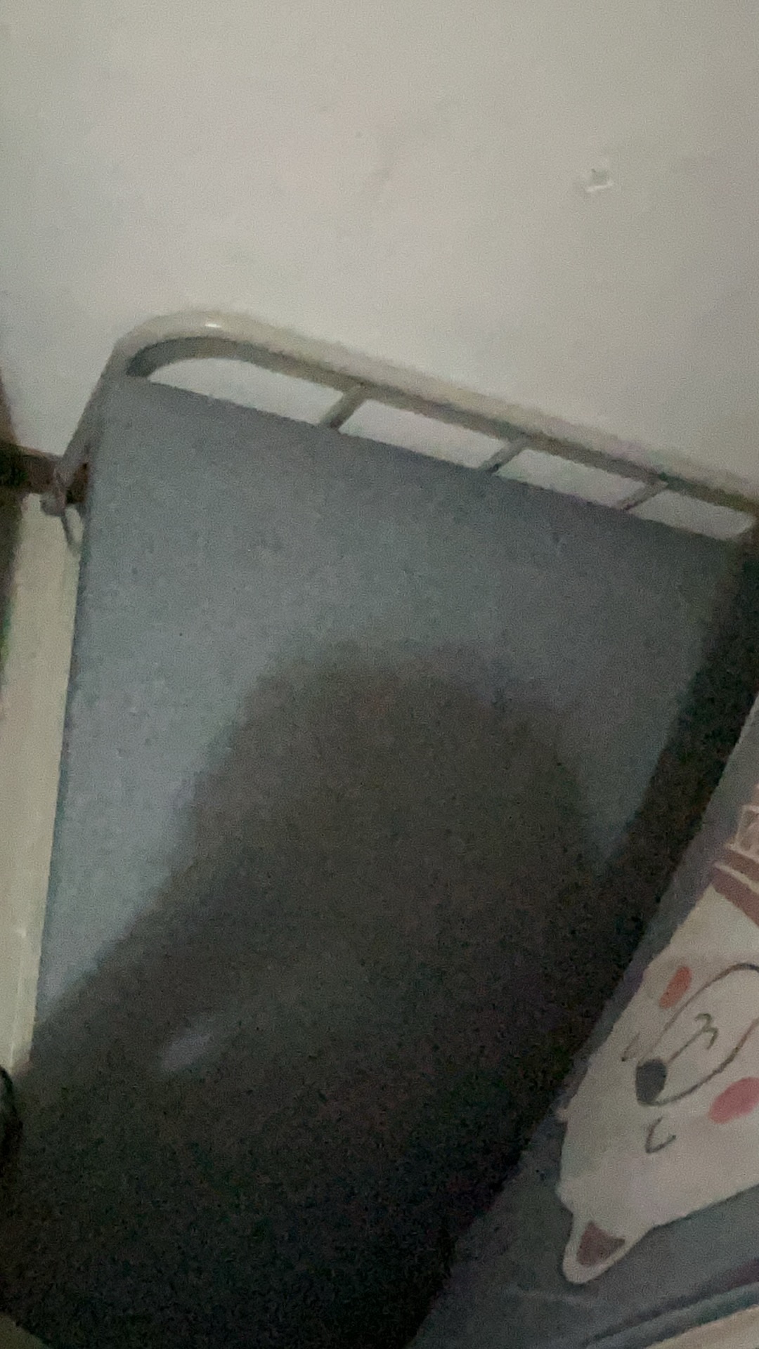 1米单人折叠乳胶床