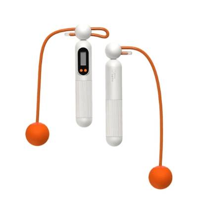 華為運動器材飛盤跳繩器