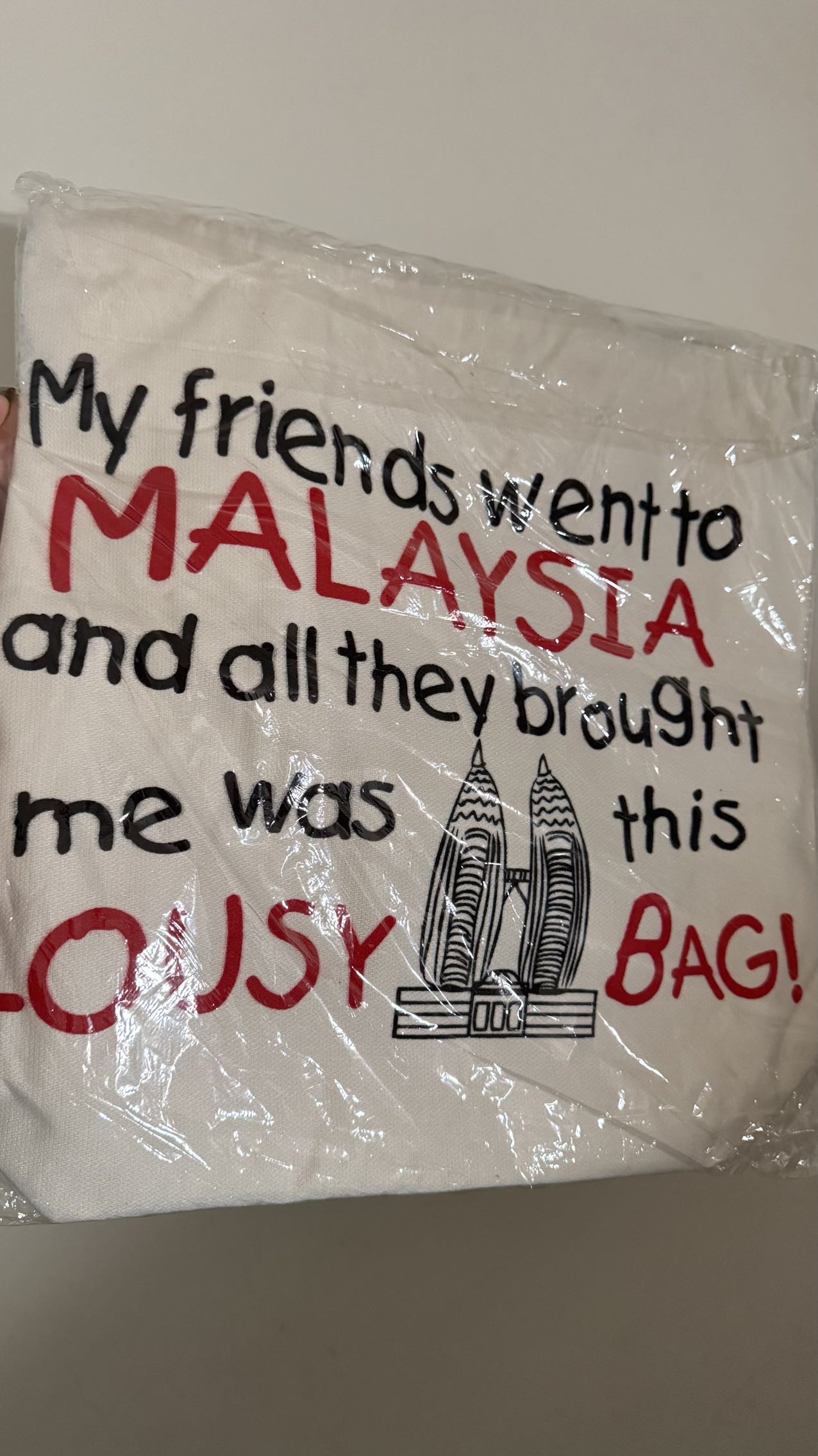 马来西亚帆布包