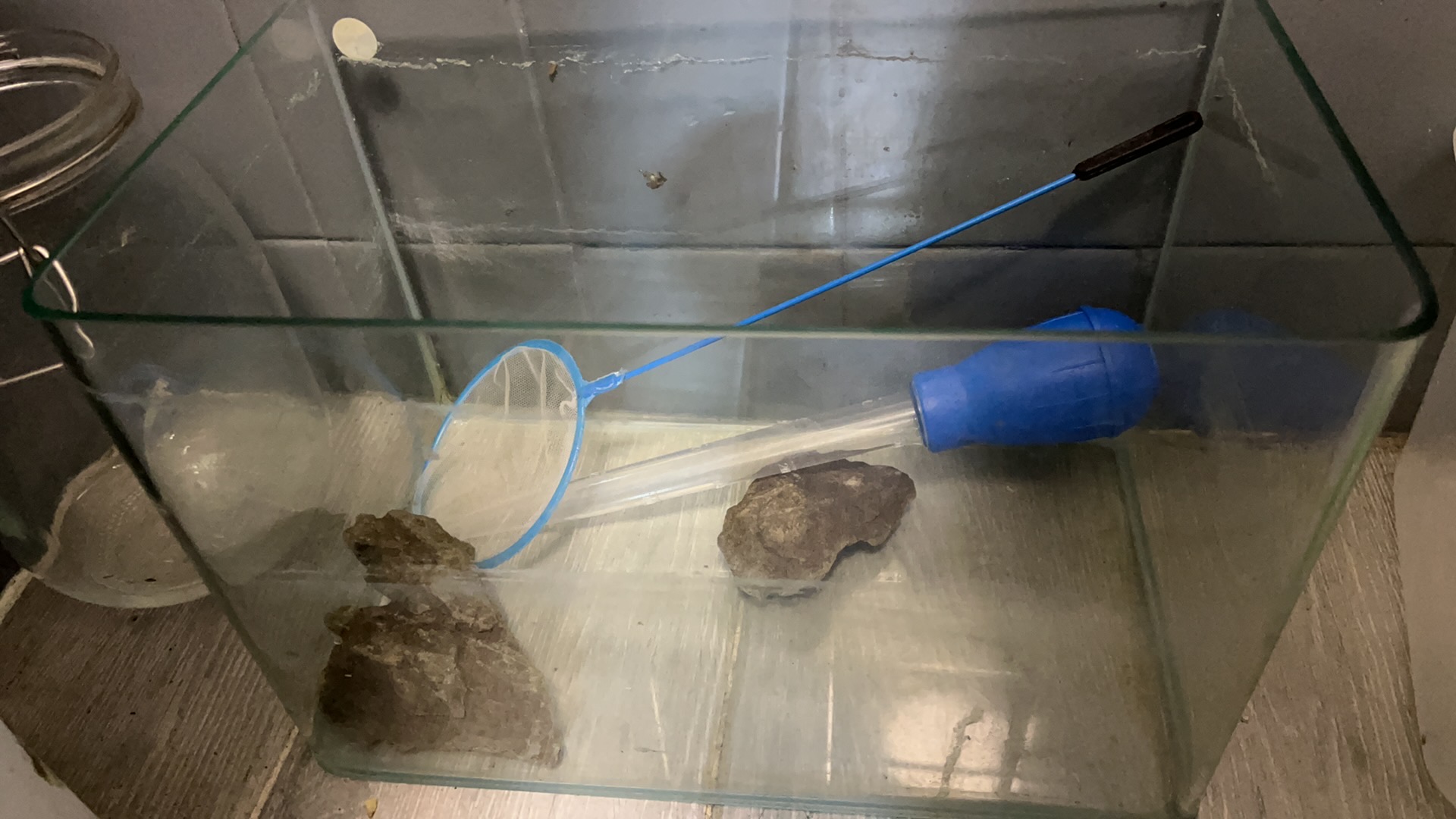 超白鱼缸+过滤棉+照灯+一切配套品