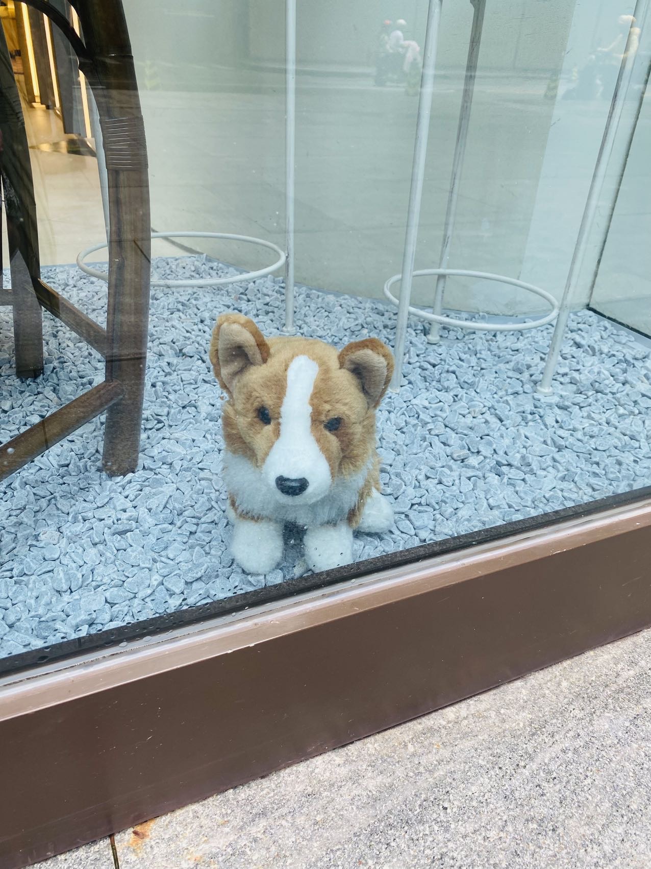 转HGC网络 89港币/月