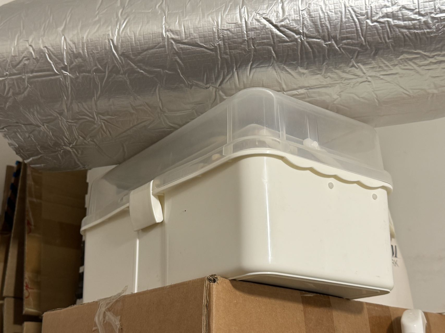 美甲套装，工具甲油一应俱全