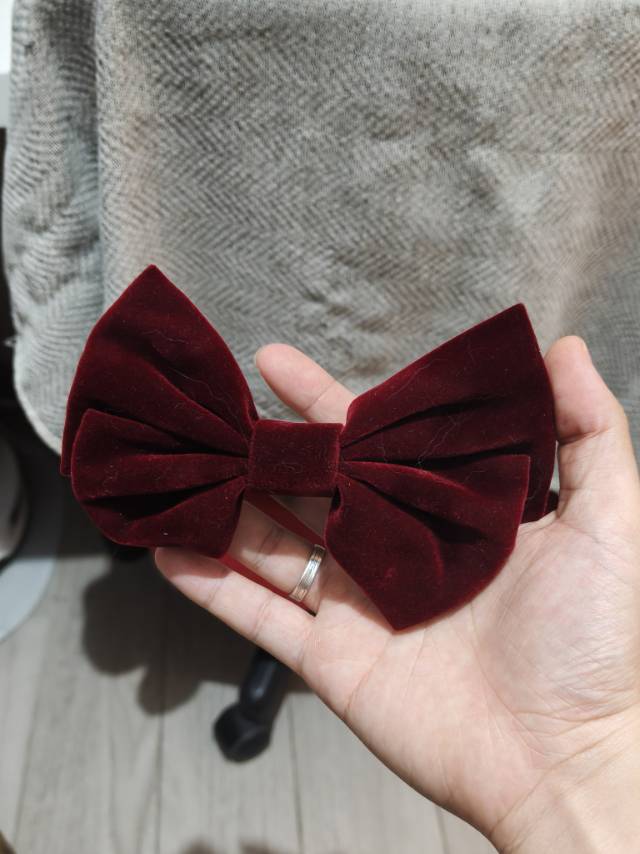 Y2k感头发抓夹加赠品