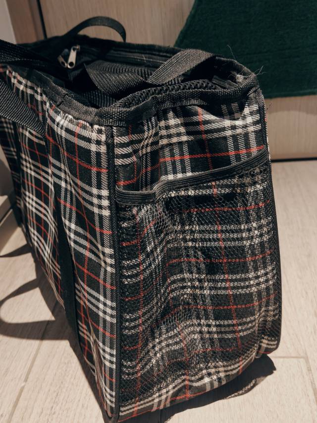 便携式猫包狗包