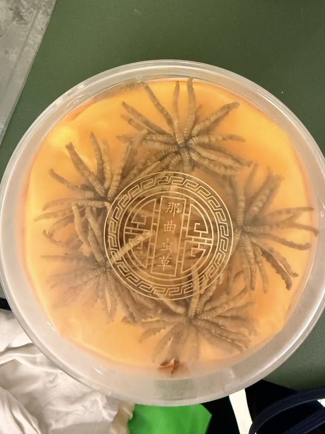 冬虫夏草 和燕窝