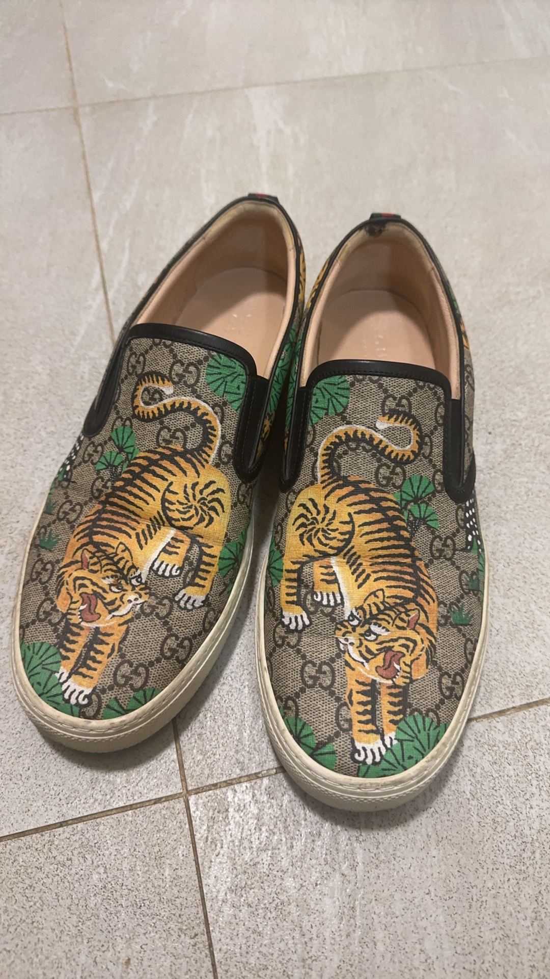 Gucci 老虎鞋