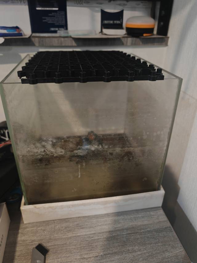 出一个鱼缸和附带器具