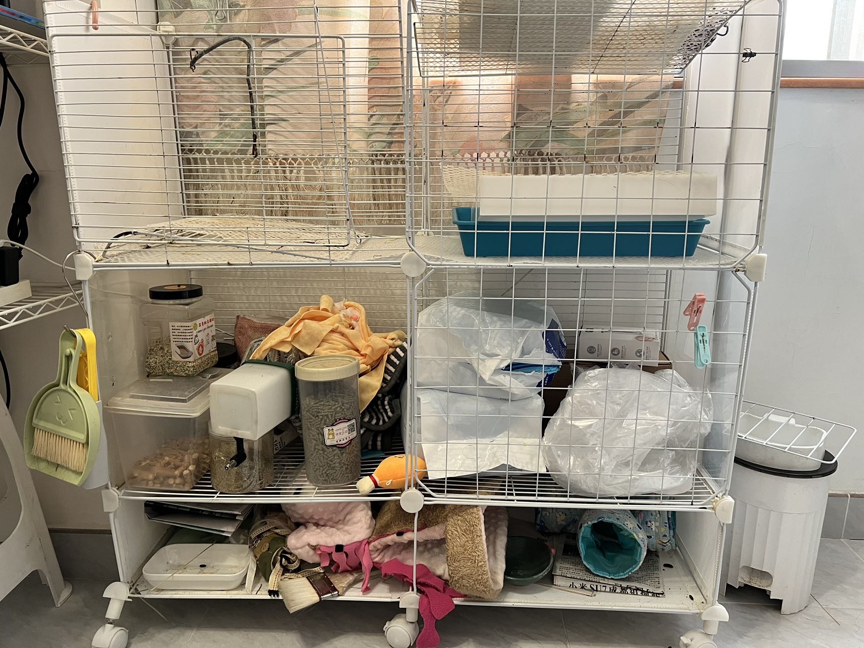 豚鼠用品