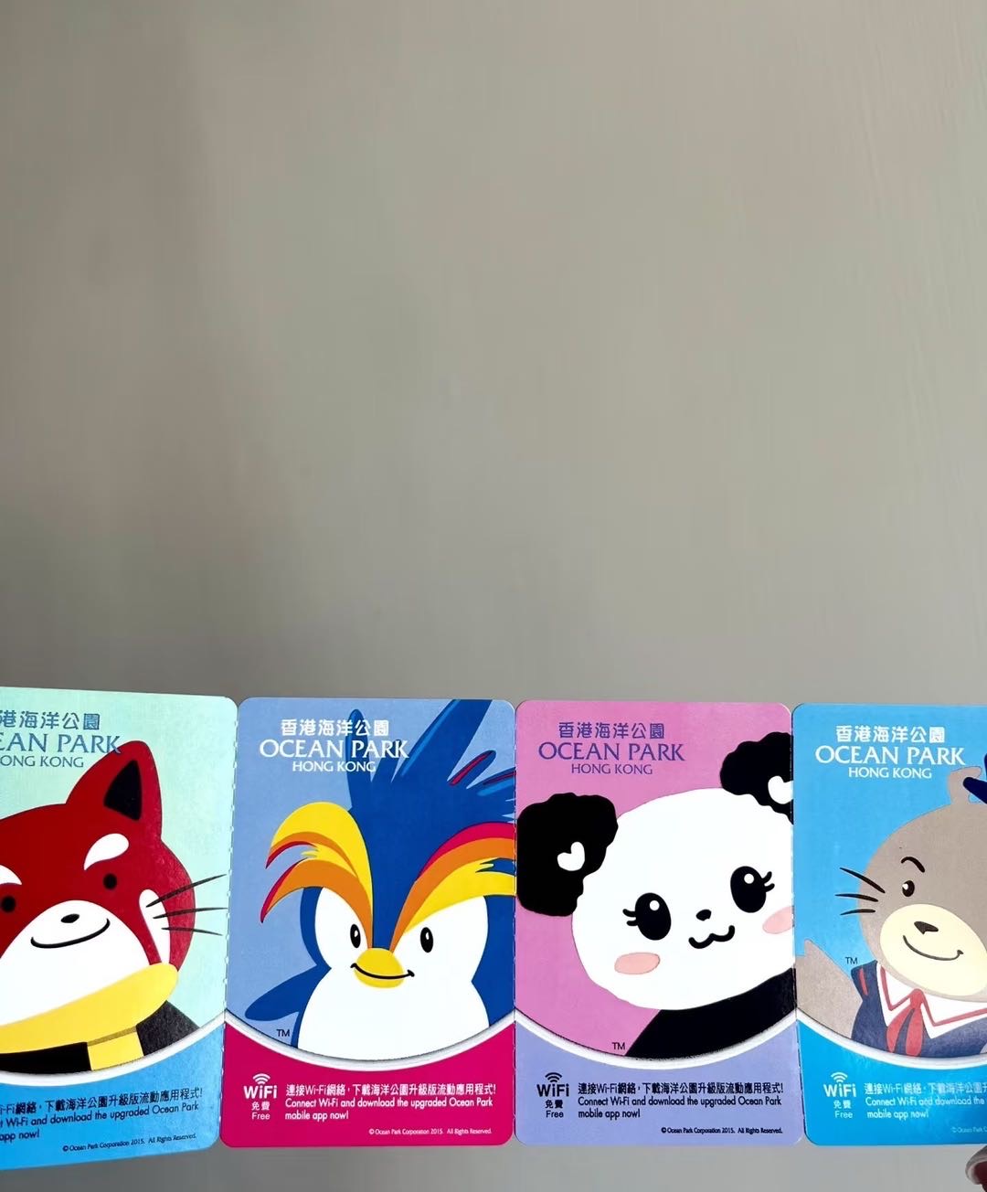 海洋公園成人門票一張