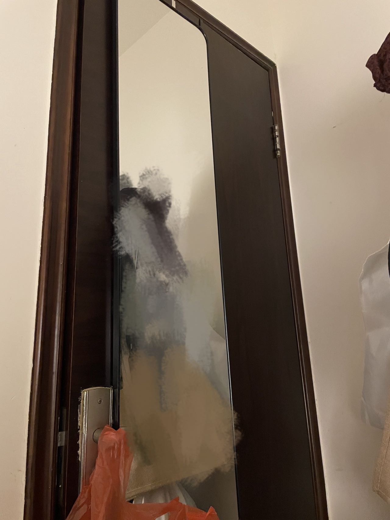 门后全身镜