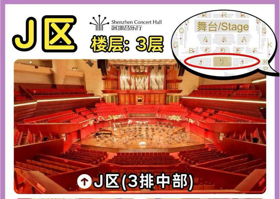 陈锐小提琴独奏音乐会门票。