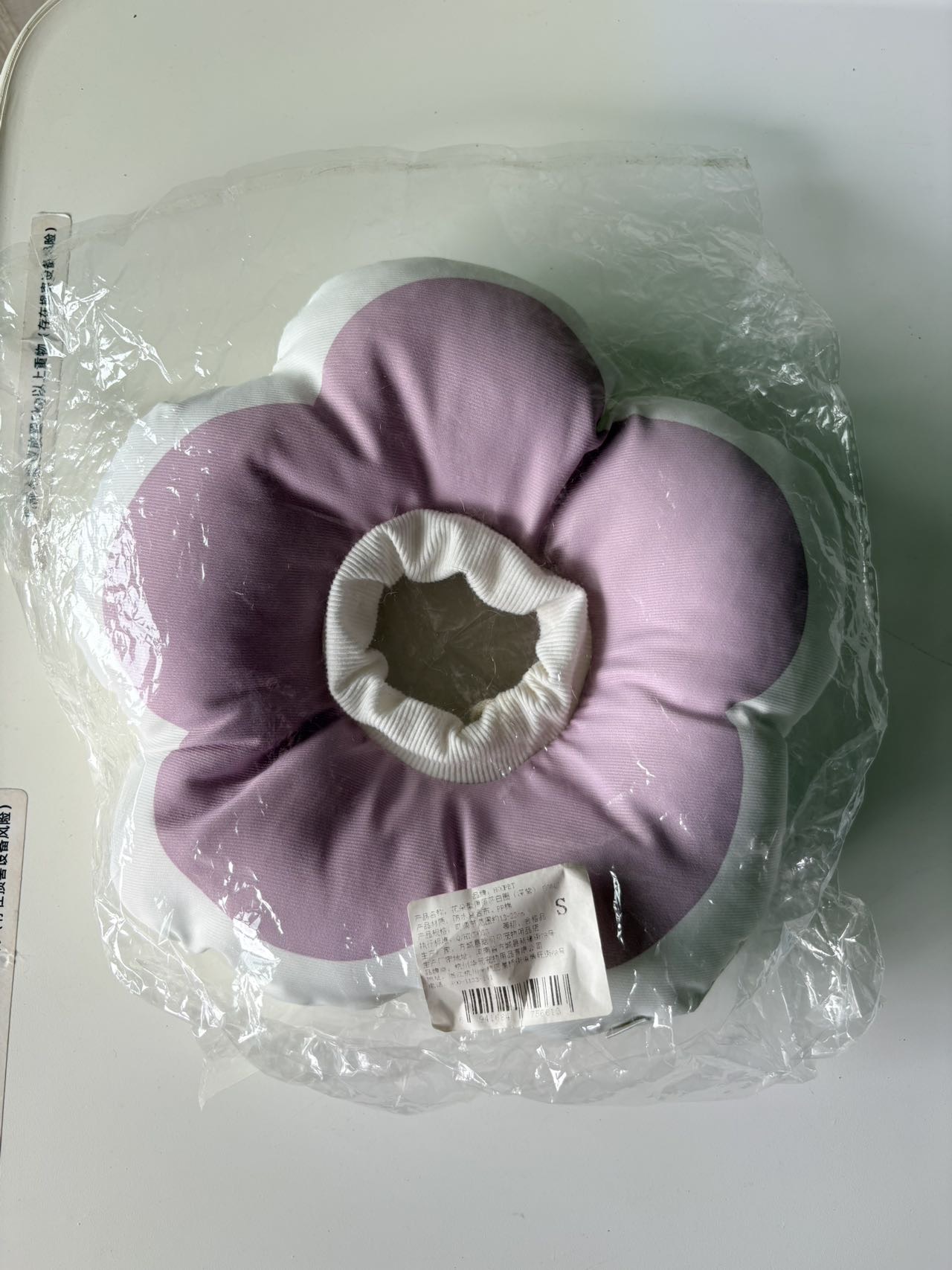 伊丽莎白猫圈 太阳花