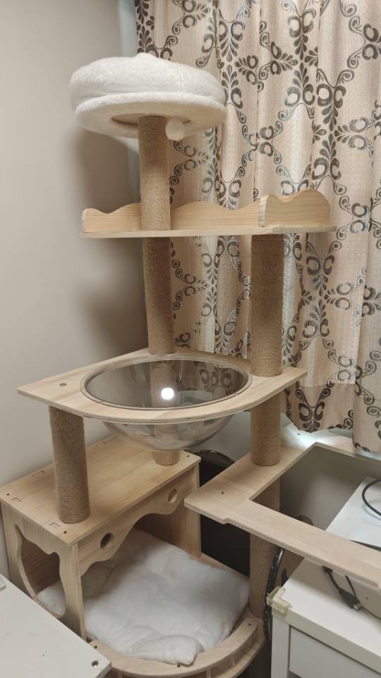 实木猫爬架
