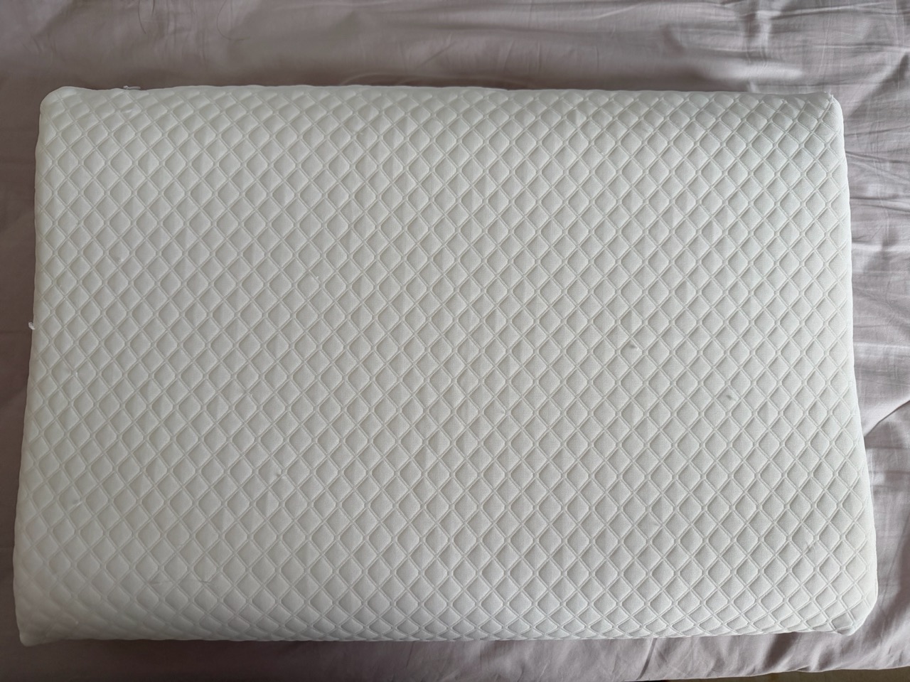 金橡树乳胶枕枕头全新赠品