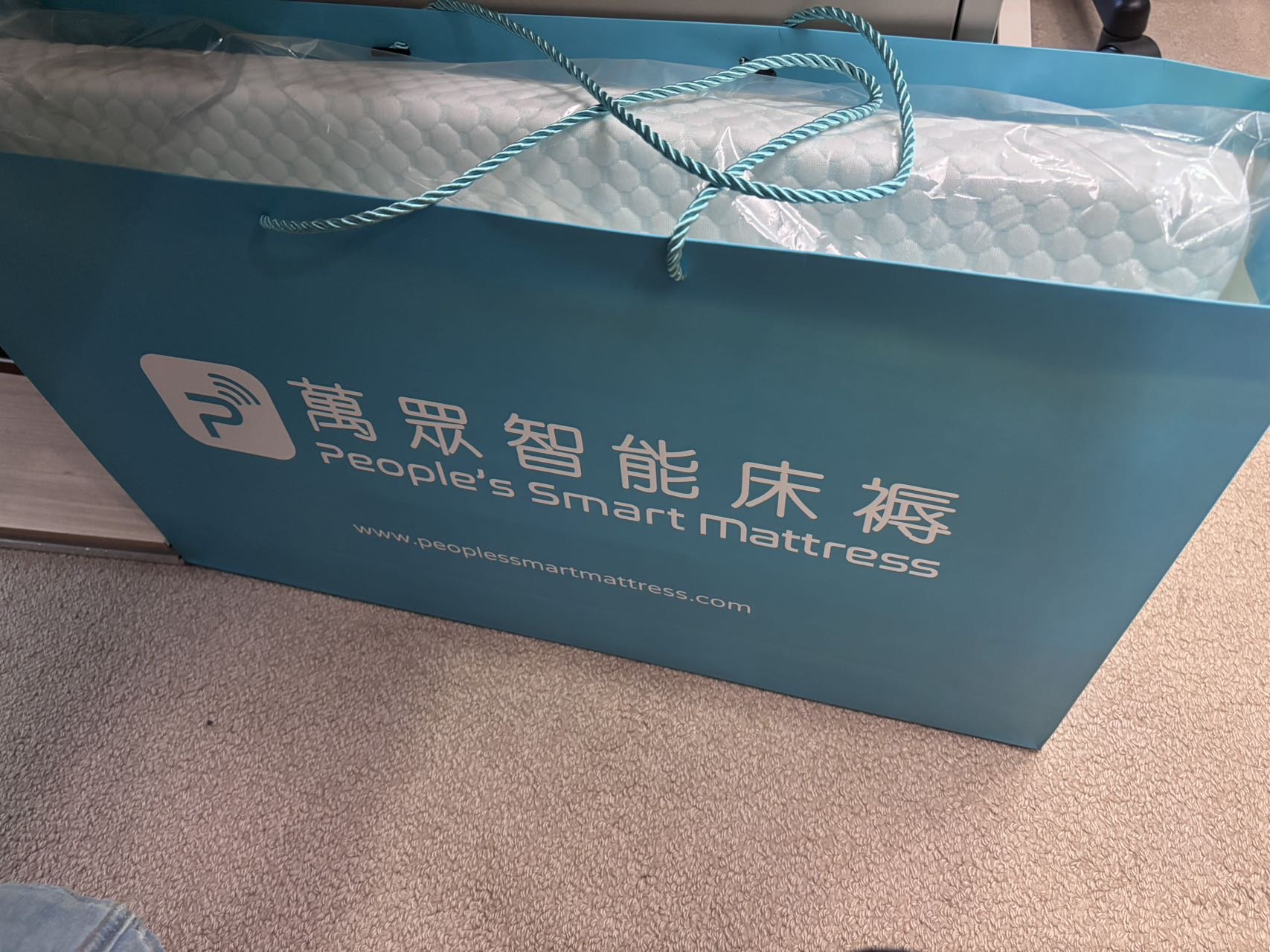 全新记忆枕